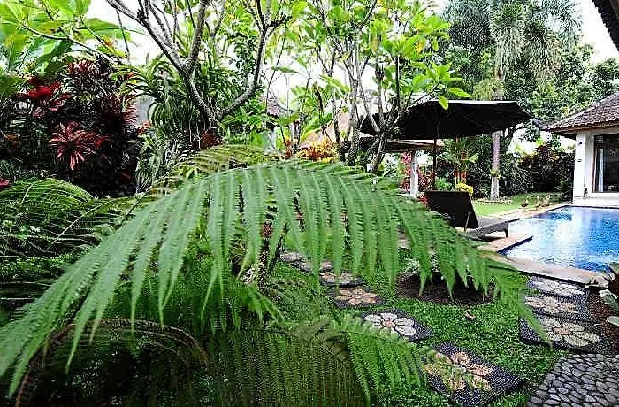Mimpi Ubud 5*