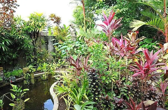 Mimpi Ubud ホテル