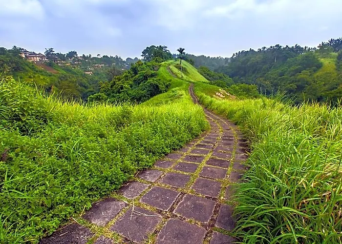 Mimpi Ubud